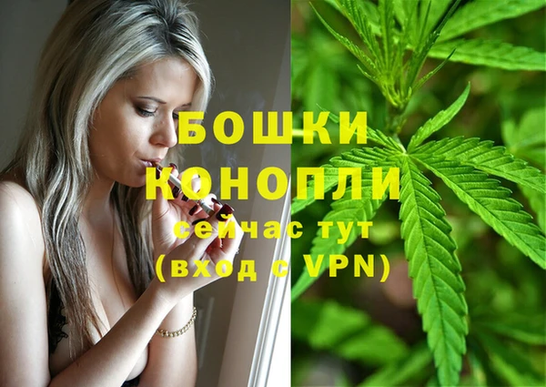 прущий лед Белокуриха
