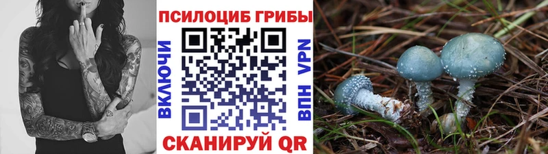 цена   shop формула  Галлюциногенные грибы Magic Shrooms  Староминская 
